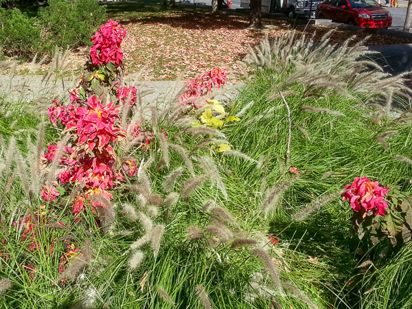 Montreal, Quebec, Canada